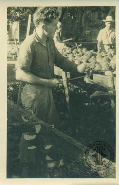 Hombre pelando cocos.