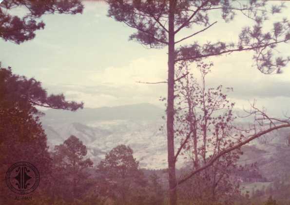 Huracán Fifi, vista de montaña frente al árbol. 